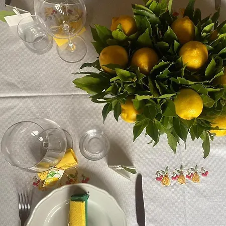 Nannini Siena